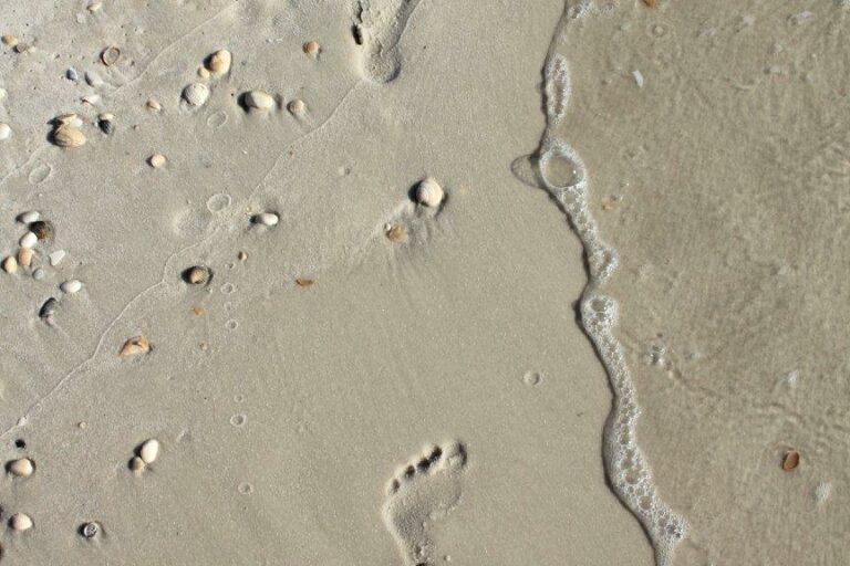 Cape San Blas Vacation Rentals decorative image of footprints on the beach