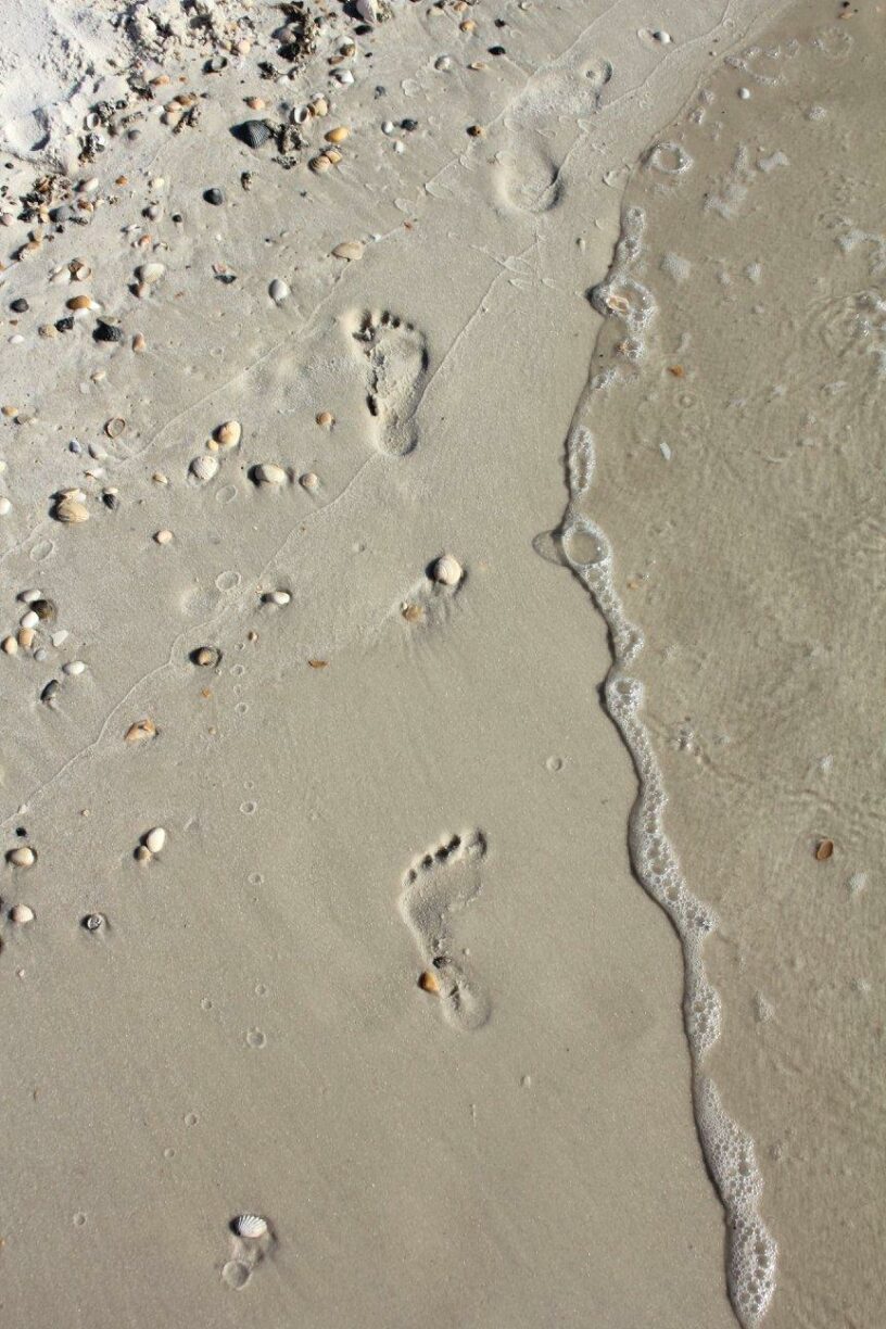 Cape San Blas Vacation Rentals decorative image of footprints on the beach