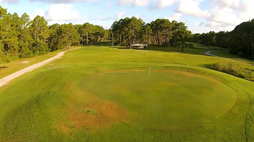 Cape San Blas Vacation Rentals decorative image of gold course