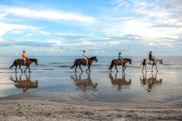 Cape San Blas Vacation Rentals decorative image of horseback riding on the beach