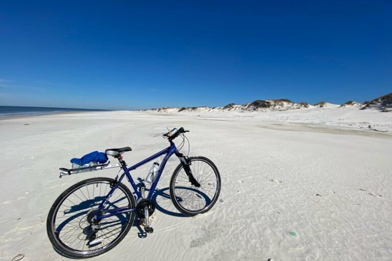 Cape San Blas Vacation Rentals decorative image of bike on a beach