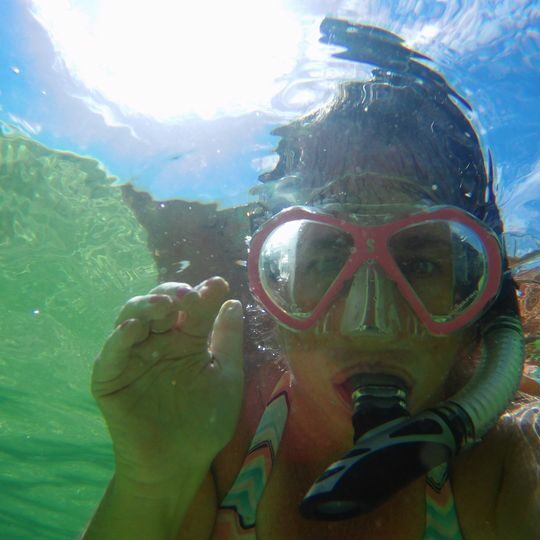 cape-san-blas-vacation-rentals-vrbo-dog-friendly-472 Cape San Blas Vacation Rentals decorative image of snorkeling