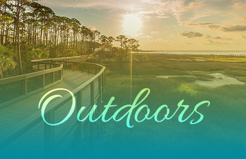 Cape San Blas Vacation Rentals decorative image of outdoors