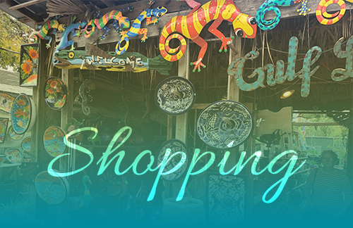 Cape San Blas Vacation Rentals decorative image of shopping